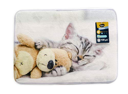 Aimé Teppich für Katzen, extraweich, Bedruckt, flach, 40 x 30 x 2 cm, 0,08 kg Aimé Teppich für Katzen, extraweich, Bedruckt, flach, 40 x 30 x 2 cm, 0,08 kg von Aimé