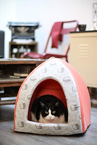 Aime Tipi Schaumstoff-Katzenbett, komfortabel, weich, bunt, Korallenrot, herausnehmbares Kissen, Größe S Aime Tipi Schaumstoff-Katzenbett, komfortabel, weich, bunt, Korallenrot, herausnehmbares Kissen, Größe S von Aime