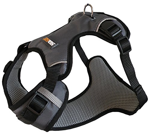 Aime YAGO Sportgeschirr für Hunde, Farbe Grau, verstellbar, Größe M, 69 – 80 cm, wasserdichtes Gewebe Aime YAGO Sportgeschirr für Hunde, Farbe Grau, verstellbar, Größe M, 69 – 80 cm, wasserdichtes Gewebe von Aime