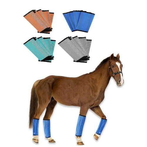 Fliegenstiefel für Pferde - Upgrade Mesh Pferde-Leggins mit Lederrahmen, Bein Fliegenschutz für Pferde Fliegenstiefel Set Fliegenstiefel für Pferde - Upgrade Mesh Pferde-Leggins mit Lederrahmen, Bein Fliegenschutz für Pferde Fliegenstiefel Set von Ainiupi