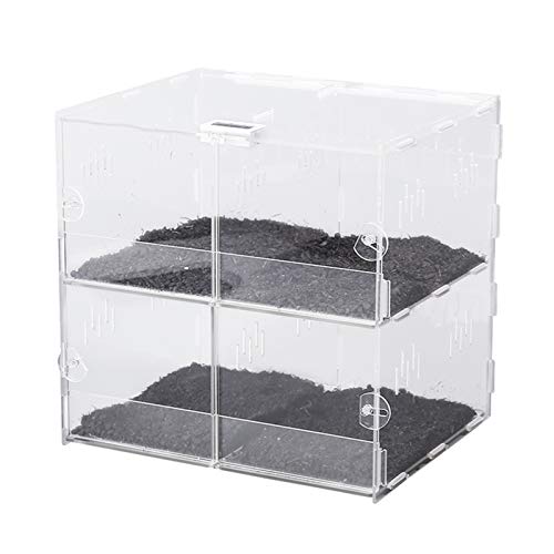 Acryl-Vitrine, transparente Reptilien-Futterbox, Reptilien-Haustier-Zuchtbox für Spinnen-Eidechse, Skorpion, Tausendfüßler, gehörnter Froschkäfer, Reptilien-Zuchtkäfig von Aioneer