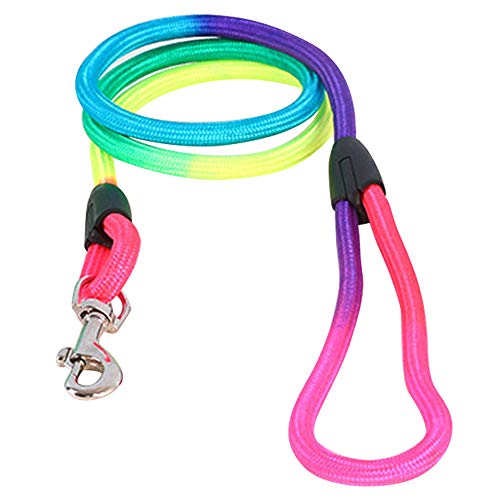 Aisoway Regenbogen-Haustier-hundenylonleine Verstellbare Schleife Beleg Führstrick Bunte Nylon Puppy Leinen Aisoway Regenbogen-Haustier-hundenylonleine Verstellbare Schleife Beleg Führstrick Bunte Nylon Puppy Leinen von Aisoway