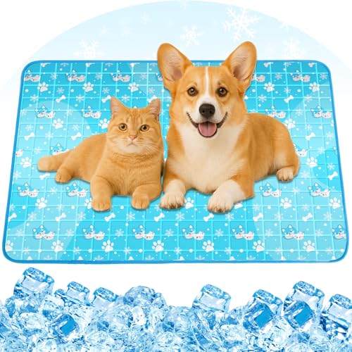 Aisuowa KüHlmatte Hund Katze, 2025 KüHlmatte für Hunde ｍit Ungiftigem Festgel, SelbstküHlende KüHldecke Hund, Wasserdicht,Dauerhaft KüHldecke Katzen für Sommer-M (50×65cm) von Aisuowa