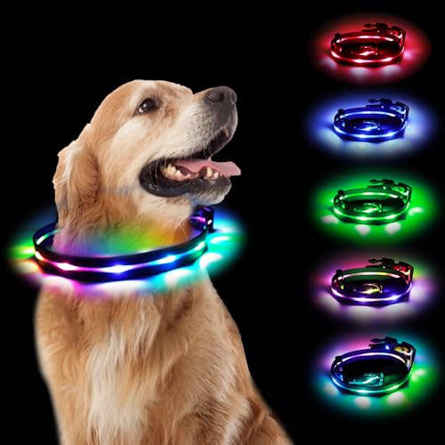 Aisuowa LED Leuchthalsband Hund XL, USB Aufladbar Hundehalsband Leuchtend, Wasserdicht Leuchtendes Halsband für Hunde und Katzen, 12 Beleuchtungsmodi Halsband für Kleine, Mittlere und Große Haustier Aisuowa LED Leuchthalsband Hund XL, USB Aufladbar Hundehalsband Leuchtend, Wasserdicht Leuchtendes Halsband für Hunde und Katzen, 12 Beleuchtungsmodi Halsband für Kleine, Mittlere und Große Haustier von Aisuowa