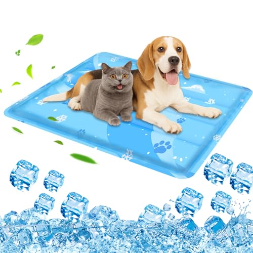 Kühlmatte Hund, Kuhlmatte für Hund und Katze mit Ungiftiges Gel, Selbstkühlende Kissen, Hundematte Kühlend Kratzfest langlebiger Tierkühlmatte Sommer (Blau, 50 * 65cm) von Aisuowa