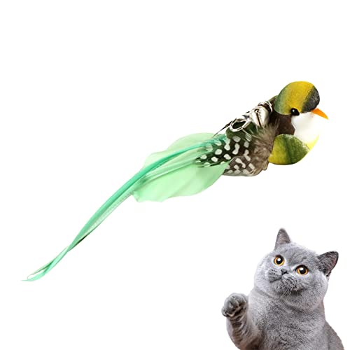 Aisyrain Fliegender Vogel Katzenspielzeug | Zauberstab-Nachfüllungen mit Feder und Glocke | Katzenstab-Ersatz, Kätzchen-Kaustäbchen, interaktiver Katzen-Teaser für Hauskatzen von Aisyrain