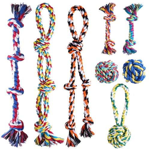 Aitmexn Kauspielzeug für Welpen zum Zahnen Langeweile 8 Stück Haustierzahnbürste Kauspiel Zeug mit Seilspielzeung Leckerli-Bälle und Quietschspielzeug für kleine Hunde Aitmexn Kauspielzeug für Welpen zum Zahnen Langeweile 8 Stück Haustierzahnbürste Kauspiel Zeug mit Seilspielzeung Leckerli-Bälle und Quietschspielzeug für kleine Hunde von Aitmexcn