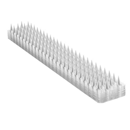 Aiwjeakh 10 Stück Zaunwand Katzen Anti-Tauben-Spikes Anti-Außen-Eichhörnchen-Gartenzäune Tierabwehrmittel Aiwjeakh 10 Stück Zaunwand Katzen Anti-Tauben-Spikes Anti-Außen-Eichhörnchen-Gartenzäune Tierabwehrmittel von Aiwjeakh