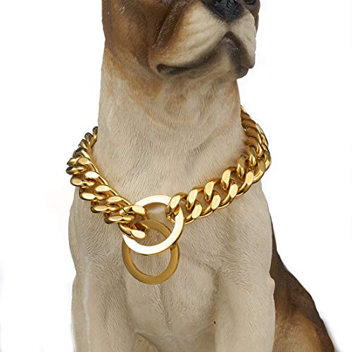 Aiyidi Hundehalsband, Gold/Silber, Edelstahl, 12 mm breit, kubanische Panzerkette, Hundehalskette, Spaziergangstraining-Halsbänder für große, mittelgroße und kleine Hunde, 30,5–66 cm (Gold, 55,9 cm) von Aiyidi