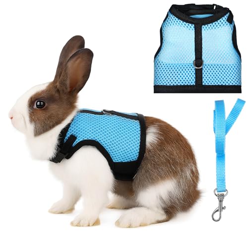 Hasengeschirr und Leine, verstellbar, atmungsaktiv, Netzgewebe, mit Doppelschnallen, ausbruchsicheres Gehtraining für Kätzchen, Kaninchen, Frettchen, Meerschweinchen, kleine Haustiere, Hellblau, Größe von Aiyorse