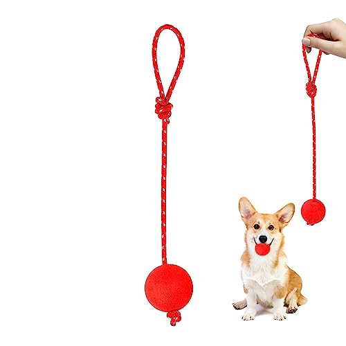 Aizuoni Ball mit Seil Hundespielzeug,Wasserschwimmspielzeug Seil für Hunde | Elastische Vollgummi-Hundebälle, Kauspielzeug für mittelgroße und große kleine Hunde, Gummi-Hundeseilbälle zum Fangen von Aizuoni