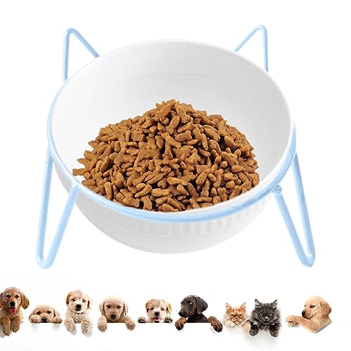 Aizuoni Erhöhte Katzenschale,Keramische Geteilte Tierfutternäpfe | Ergonomisch gestaltetes Haustierfütterungsgerät für Katzen, Hunde und andere Kleintiere von Aizuoni
