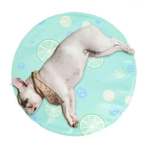 Aizuoni Haustierkühlmatten für Hunde,Hundekühlmatte,Selbstkühlende Eismatte für Hunde | Polymer-Gel-Isomatte mit hoher Rückfederung für kleine bis mittelgroße Hunde und Katzen von Aizuoni