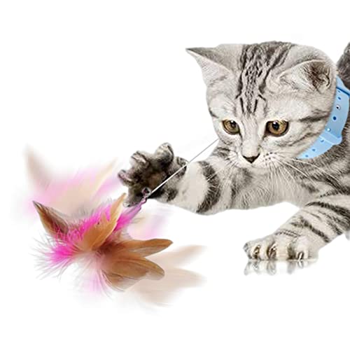 Aizuoni Katzenfederhalsband Spielzeug - Einziehbares Katzenfederspielzeug mit Halsband,Interaktiver Catcher Teaser und lustiges Übungsspielzeug für Kätzchen oder Katzen von Aizuoni