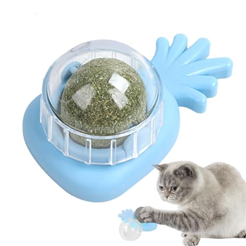 Aizuoni Katzenminze-Wandspielzeug, Cat Nips Bio-Katzenspielzeug,Drehbare Essbare Katzensnack-Bällchen Mit Natürlicher, Gesunder Katzenminze-Kugelnuss, Spielendes Kätzchen, Spielzeug Zum Kauen Und Aizuoni Katzenminze-Wandspielzeug, Cat Nips Bio-Katzenspielzeug,Drehbare Essbare Katzensnack-Bällchen Mit Natürlicher, Gesunder Katzenminze-Kugelnuss, Spielendes Kätzchen, Spielzeug Zum Kauen Und von Aizuoni