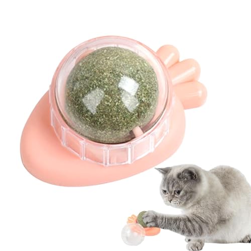 Aizuoni Katzenminze-Wandspielzeug, Cat Nips Bio-Katzenspielzeug,Drehbare Essbare Katzensnack-Bällchen Mit Natürlicher, Gesunder Katzenminze-Kugelnuss, Spielendes Kätzchen, Spielzeug Zum Kauen Und Aizuoni Katzenminze-Wandspielzeug, Cat Nips Bio-Katzenspielzeug,Drehbare Essbare Katzensnack-Bällchen Mit Natürlicher, Gesunder Katzenminze-Kugelnuss, Spielendes Kätzchen, Spielzeug Zum Kauen Und von Aizuoni