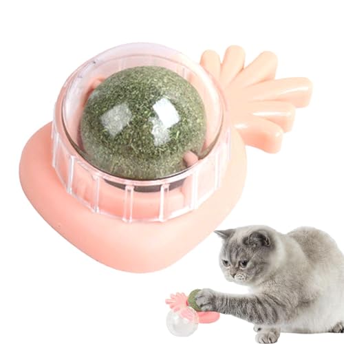 Aizuoni Katzenminze-Wandspielzeug, Cat Nips Bio-Katzenspielzeug,Drehbare Essbare Katzensnack-Bällchen Mit Natürlicher, Gesunder Katzenminze-Kugelnuss, Spielendes Kätzchen, Spielzeug Zum Kauen Und Aizuoni Katzenminze-Wandspielzeug, Cat Nips Bio-Katzenspielzeug,Drehbare Essbare Katzensnack-Bällchen Mit Natürlicher, Gesunder Katzenminze-Kugelnuss, Spielendes Kätzchen, Spielzeug Zum Kauen Und von Aizuoni