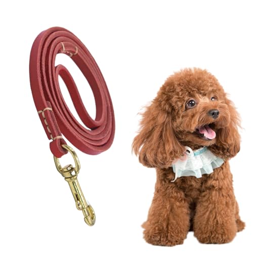 Kein Pull -Seil, Hundetraktionsseil | Bequemes Griffseil | Cat Safety Beltauto mit ergonomischem Design für das Wandertraining für mittelgroßes Tier von Aizuoni