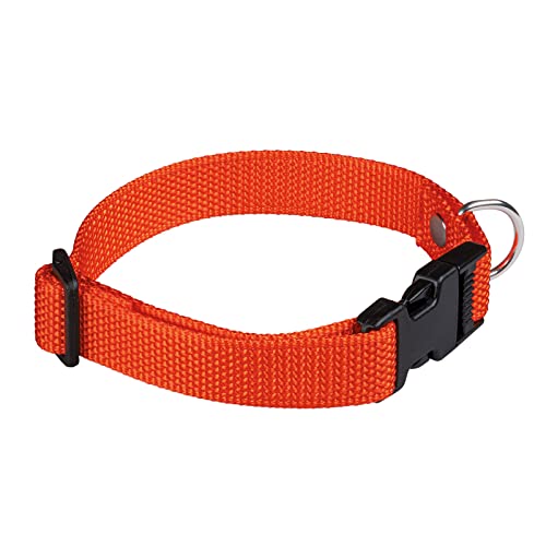 AKAH Hundehalsband verstellbar orange/Neongelb - Halsband Jagdhund klein - Halsung Hund (Orange) von Akah