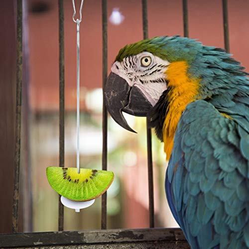 Akozon 2PCS Weniger Stahl Haustier Vogel Papagei Hängen Feeder Lebensmittel Gemüse Obst Halter Spieß, Multifunktions Zubehör Für Den Heimgebrauch Akozon 2PCS Weniger Stahl Haustier Vogel Papagei Hängen Feeder Lebensmittel Gemüse Obst Halter Spieß, Multifunktions Zubehör Für Den Heimgebrauch von Akozon