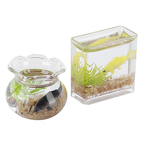 Akozon 2pcs 1:12 Realistische Miniaturfischschalenpuppenzubehör -Accessoires Fischtanks für Akozon 2pcs 1:12 Realistische Miniaturfischschalenpuppenzubehör -Accessoires Fischtanks für von Akozon