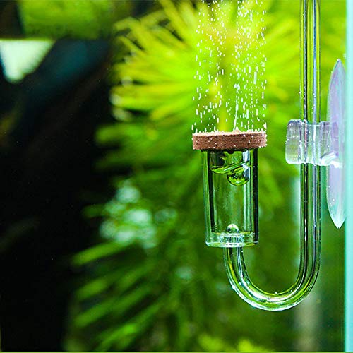 Akozon Acryl Transparent CO2, Zerstäuber Blasenzähler Aquarium Zubehör Diffusor Zerstäubung Refiner Wasser für Pflanzen Gras von Akozon