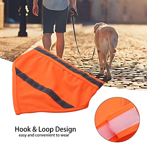 Akozon Akozon Reflektierender Haustierhund Welpe Schalehaller Lätzchenhalshals Fluoreszierende Orange groß für Zuhause (L) von Akozon