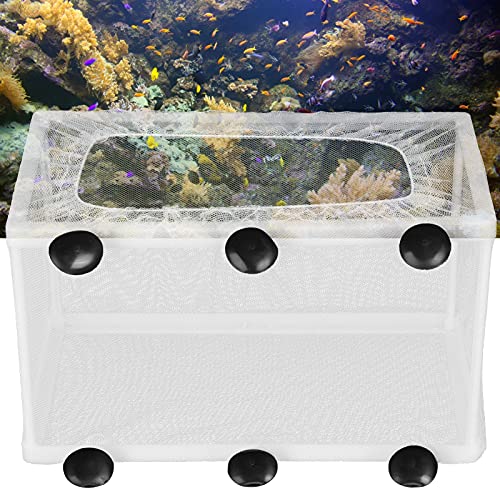 Akozon Aquarium-Fischbrutnetzbox für Jungfische und Babyfische, Isolierender Zuchttank mit Saugnäpfen, Fischzuchtausrüstung für den Heimgebrauch (Große Größe) von Akozon