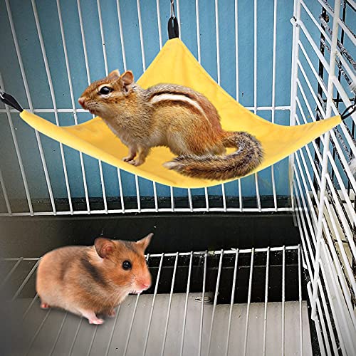 Akozon Große, Einfarbige Dreiecks-Hängematte für Kleine Haustiere – Zuckergleiter, Eichhörnchen, Hamster, Mäuse und Meerschweinchen – Gemütliches und Bequemes Haustierzubehör Akozon Große, Einfarbige Dreiecks-Hängematte für Kleine Haustiere – Zuckergleiter, Eichhörnchen, Hamster, Mäuse und Meerschweinchen – Gemütliches und Bequemes Haustierzubehör von Akozon