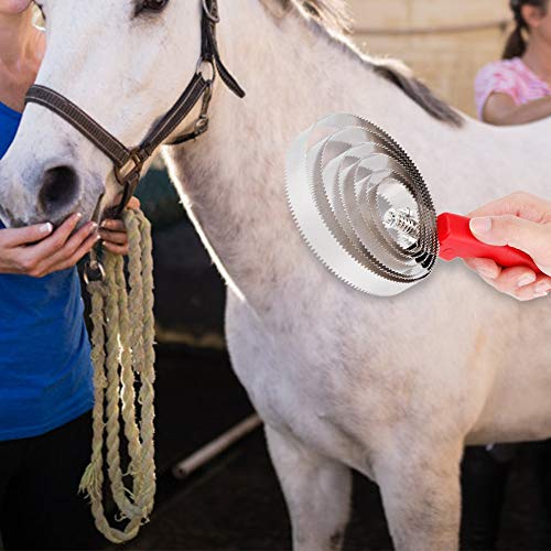 Akozon Metall Vieh Juckreiz, Curry Shedding Kamm Scratcher Pinsel Sechs Kreis mit Weichem Handgriff für Große Edelstahl-Ringel von Akozon