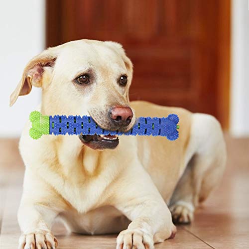 Akozon Silikon Blau Grün, Zahnreiniger Bürsten Haustier Hund Backenzahnpflege Reinigungsstab Liefert Zahnbürstenspielzeug für Hunde von Akozon