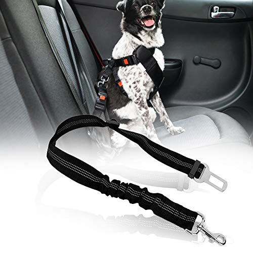 Akozon Verstellbare Reflektierende Elastische Haustier -Hundekatze -Sicherheitsgürtelgurtkabelbaum Seilblau für Zuhause (Black) von Akozon