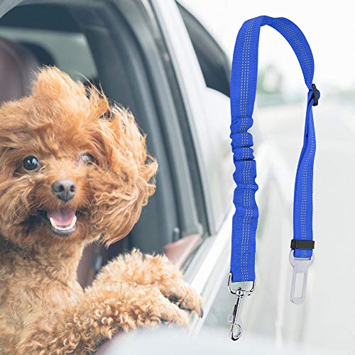 Akozon Verstellbare Reflektierende Elastische Haustier -Hundekatze -Sicherheitsgürtelgurtkabelbaum Seilblau für Zuhause (Blue) von Akozon