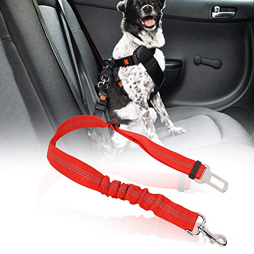 Akozon Verstellbare Reflektierende Elastische Haustier -Hundekatze -Sicherheitsgürtelgurtkabelbaum Seilblau für Zuhause (Rot) von Akozon