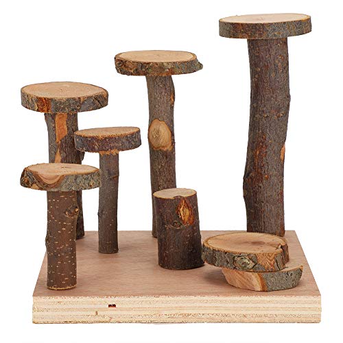 Hamster-Übungsornamente, Leiter, Holz, Hamstertreppe, Stufe, Spielen, Zähneknirschen, Heimtierbedarf, Holzsäule, Kleine Größe (Pfosten aus Apfelholz S 18,5 x 10,2 x 2,6 Zoll) von Akozon