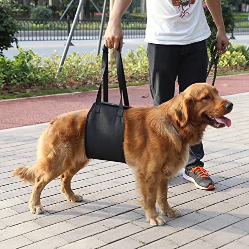 Akozon Schwarzes Rehabilitationsgeschirr Zum Heben und Unterstützen von Hunden mit Griff für Hunde Professionelles Zubehör für den Einsatz (L) von Akozon