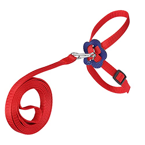 Vogelgeschirr, Papageienleine, Verstellbares Vogel-Nylon-Anti-Biss-Seil für Outdoor-Training, Professionelles Zubehör für den Einsatz (Rot) von Akozon