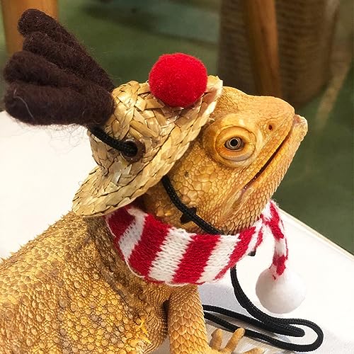 Aladeno Bartagamen-Weihnachtsmannmütze, Schal, Weihnachtskostüm, Reptil, verstellbare Größe, leuchtende Farben, Eidechsen-Weihnachtsmannmütze mit niedlichem, weichem Schal (S) von Aladeno