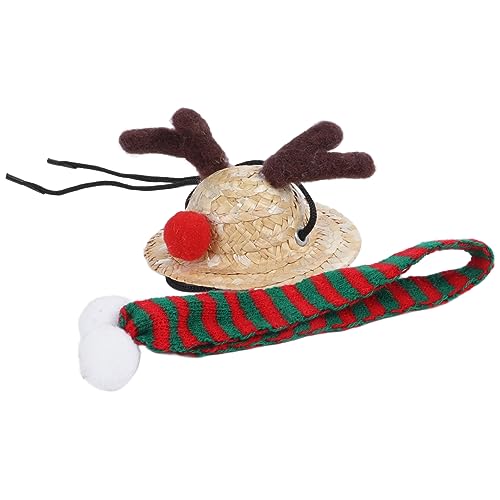 Aladeno Bartagamen-Weihnachtsmannmütze, Schal, Weihnachtskostüm, Reptil, verstellbare Größe, leuchtende Farben, Eidechsen-Weihnachtsmannmütze mit niedlichem, weichem Schal (S) von Aladeno