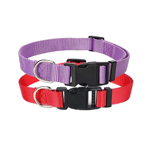 Alainzeo 2 Pack Nylon Hundehalsbänder, Klassisches Verstellbares Haustier Hundehalsband für kleine, mittelgroße und große Hunde, M (Rot, Lila) von Alainzeo