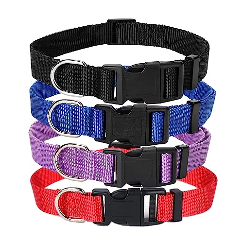 Alainzeo 4 Stück Nylon Hundehalsbänder, klassisches verstellbares Haustier-Hundehalsband für kleine, mittelgroße und große Hunde, Größe L (schwarz, blau, rot, lila) von Alainzeo