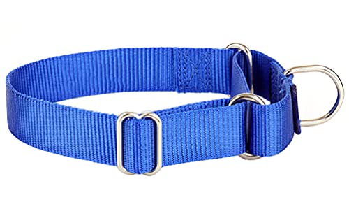 Alainzeo Martingale Hundehalsband, strapazierfähig, Nylon, Blau, Größe L von Alainzeo