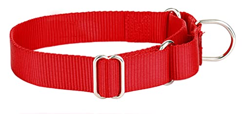 Alainzeo Martingale Hundehalsband, strapazierfähiges Nylon, Rot, Größe L von Alainzeo