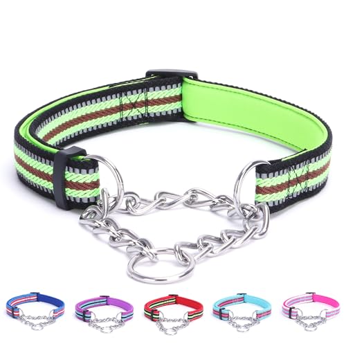 Alainzeo Reflektierendes Martingale-Hundehalsband, verstellbares, weiches Neopren, gepolstert, atmungsaktiv, Nylon-Haustierhalsband für Welpen, mittelgroße und große Hunde, Grün, M von Alainzeo