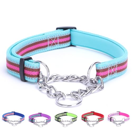 Alainzeo Reflektierendes Martingale Hundehalsband, verstellbares, weiches Neopren, gepolstertes, atmungsaktives Nylon-Haustierhalsband für Welpen, mittelgroße und große Hunde, Hellblau, M von Alainzeo