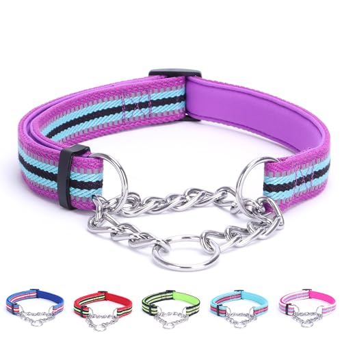 Alainzeo Reflektierendes Martingale-Hundehalsband, verstellbares, weiches Neopren, gepolstertes, atmungsaktives Nylon-Haustierhalsband für Welpen, mittelgroße und große Hunde, Lila, S von Alainzeo