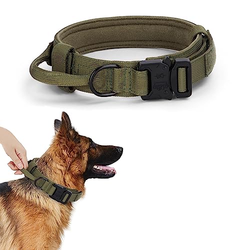 Alainzeo Taktisches Hundehalsband, Militärisches Training Verstellbares Nylon-Hundehalsband mit Kontrollgriff und Schnellverschluss-Schwermetallschnalle für mittelgroße und große Hunde (Grün, M) von Alainzeo