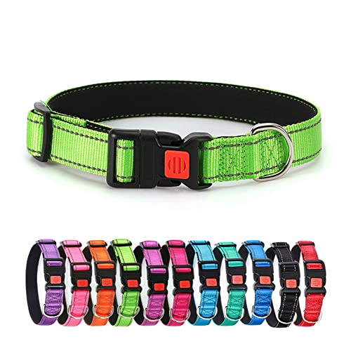 Reflektierendes Hundehalsband, weiches Neopren gepolstertes, atmungsaktives Nylon-Haustierhalsband mit Schnellverschluss-Schnalle für Welpen, mittelgroße und große Hunde (Grün S) von Alainzeo