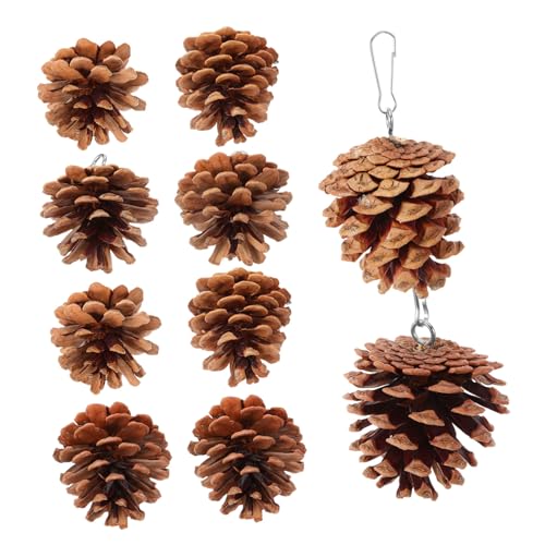 Alasum 10Stücke Papageien Kauspielzeug aus Bissfestes Vogelspielzeug für Ziervögel Hängendes Design und Sicher für Papageienarten Fördert Spielspaß Alasum 10Stücke Papageien Kauspielzeug aus Bissfestes Vogelspielzeug für Ziervögel Hängendes Design und Sicher für Papageienarten Fördert Spielspaß von Alasum