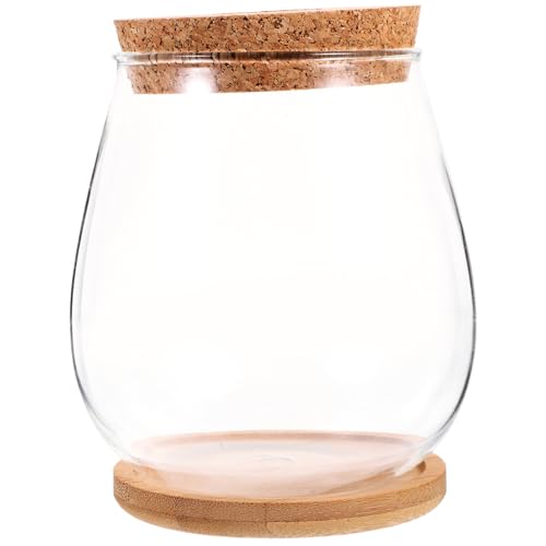 Alasum Glasterrarium Mit Klar Glasbehälter Mikrolandschaftsflasche Für DIY-Pflanzen Ökologische Moosflasche Als Dekorative Flasche Terrarienglasbehälter Mit Holz Tablett Für Anlage von Alasum